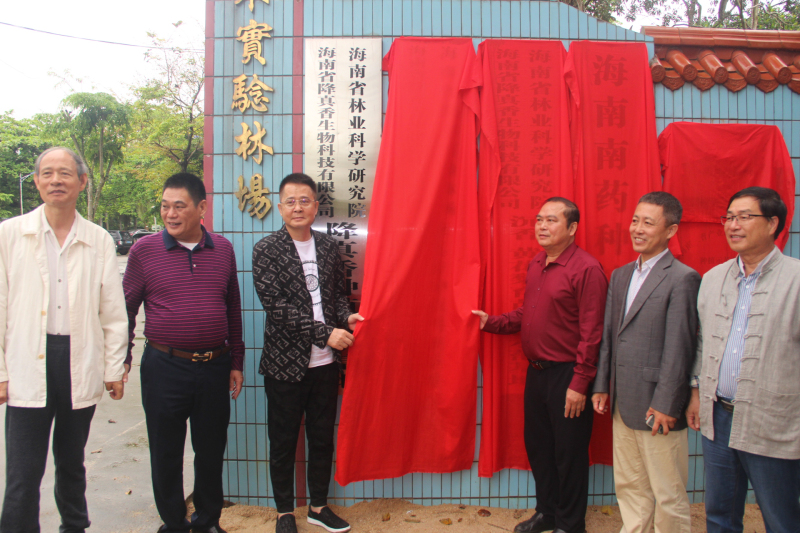 1617070742356906.jpg 图片6.jpg