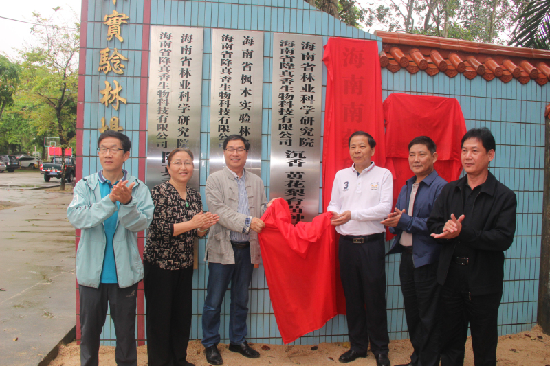 1617070751630454.jpg 图片7.jpg