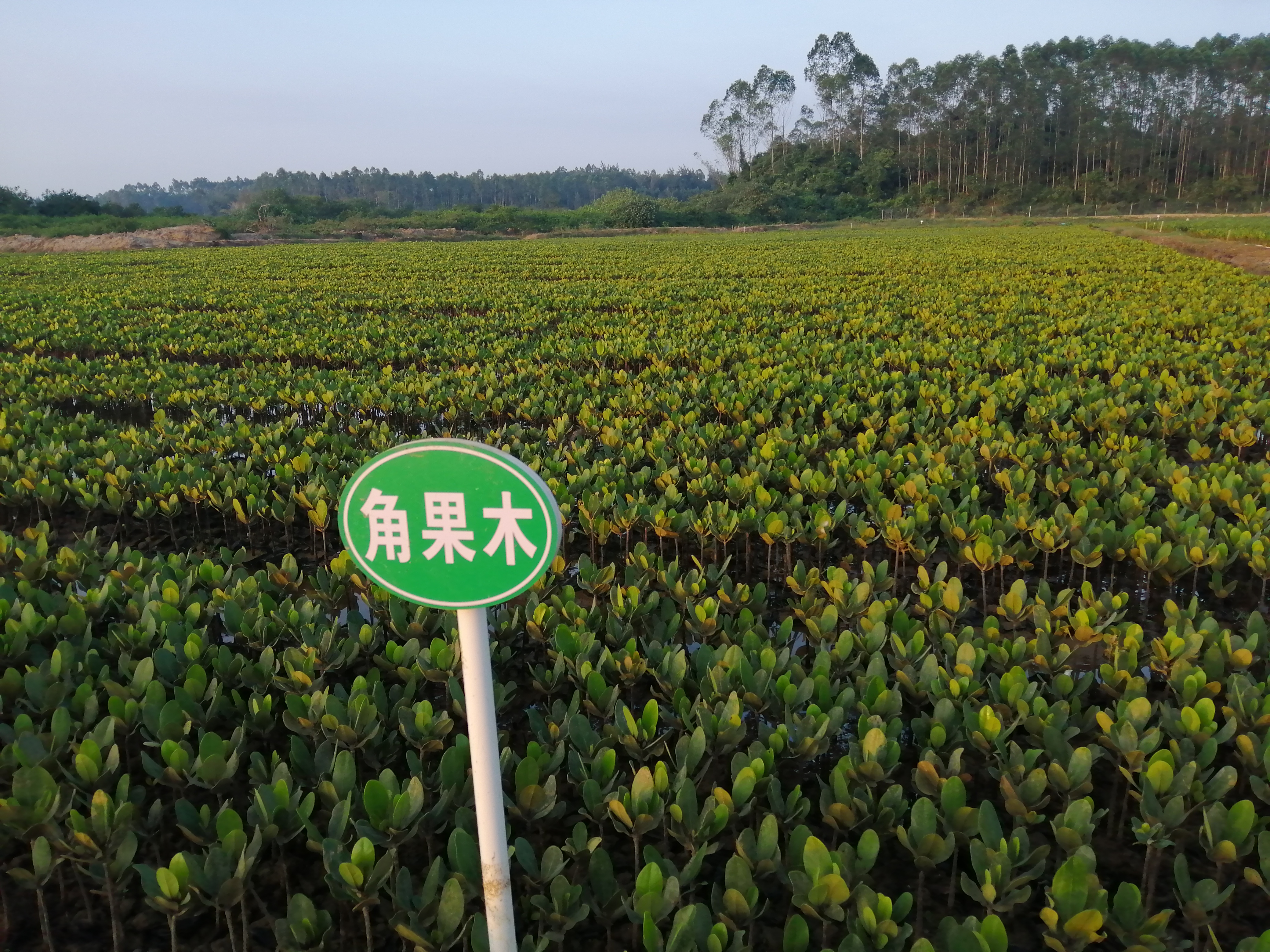 1617157042524376.jpg 微信图片_202012300955504.jpg