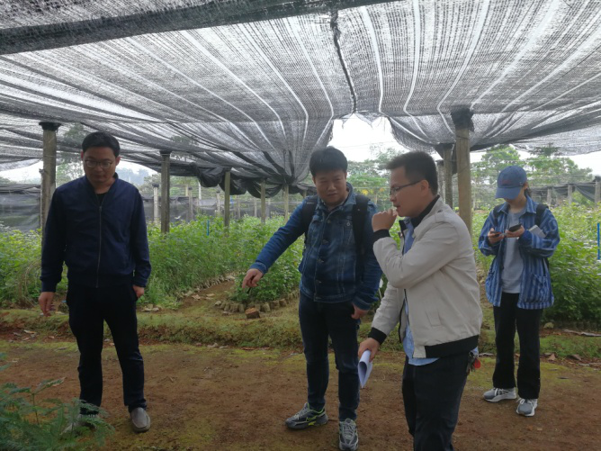 1617757910281181.png 图片2.png