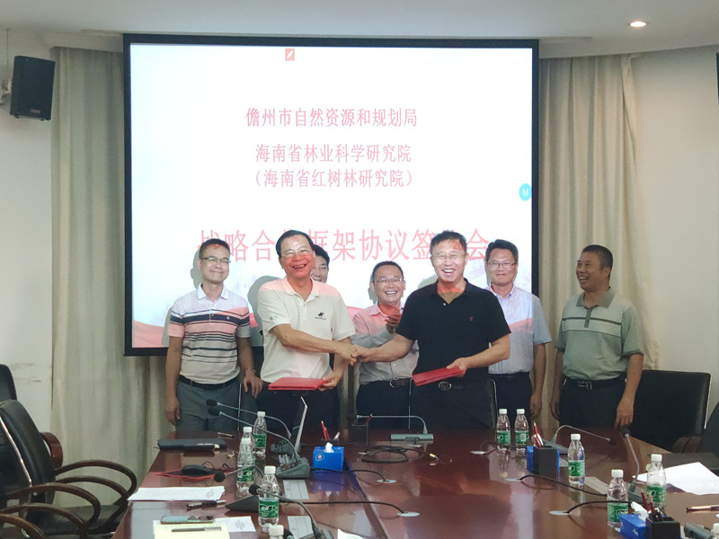 1619055939625304.jpg 333.jpg