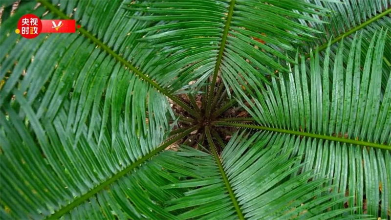 1649992704465440.jpg 2.jpg