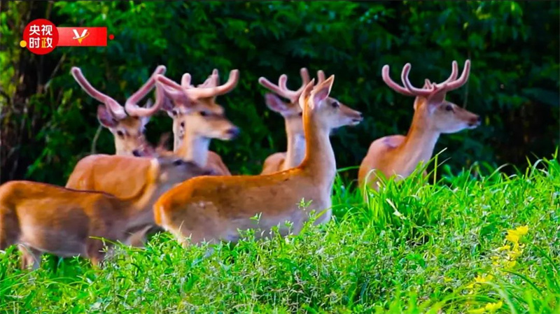 1649992741818972.jpg 3.jpg