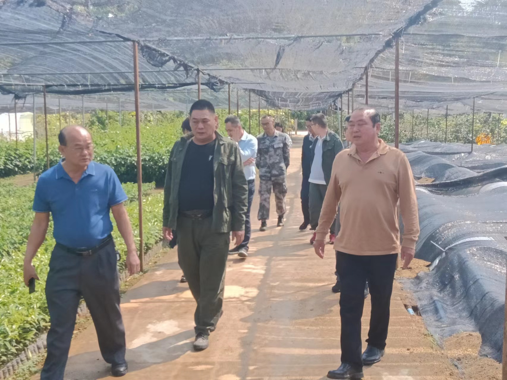 1678345322842564.jpg 1678345322842564.jpg