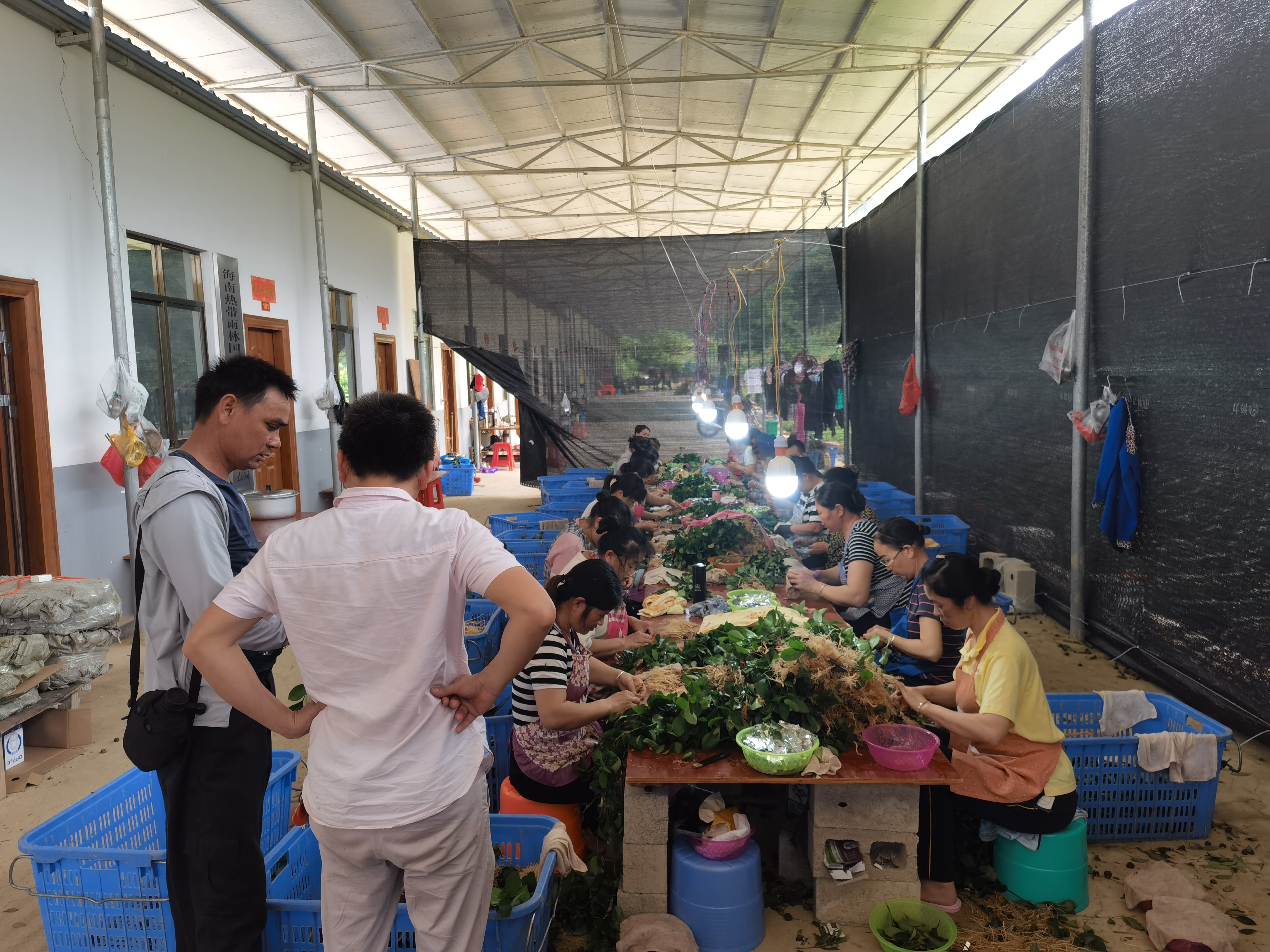 1685666931160931.jpg 1685666931160931.jpg