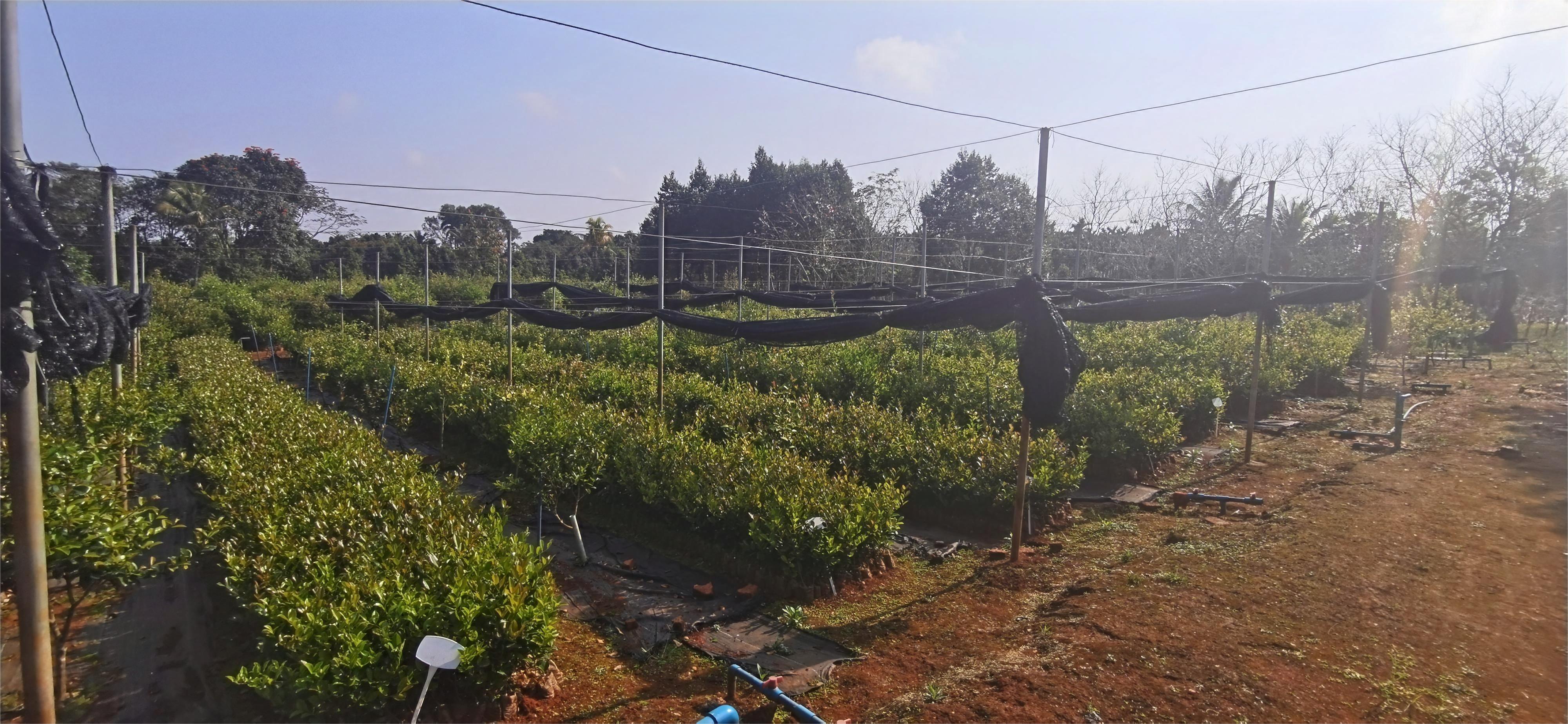 1685667327142503.jpg 1685667327142503.jpg