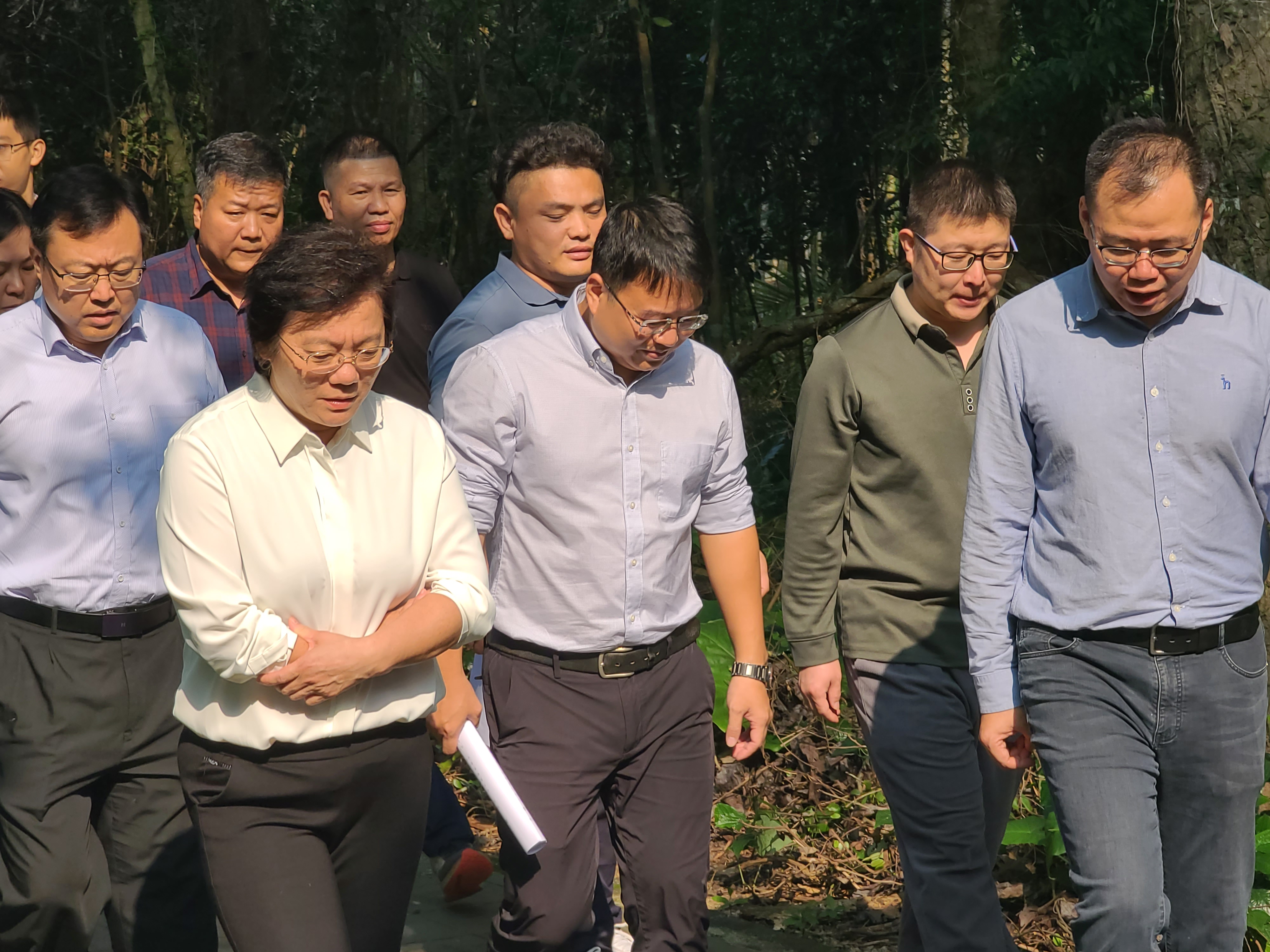 1701479339481133.jpg 1701479339481133.jpg