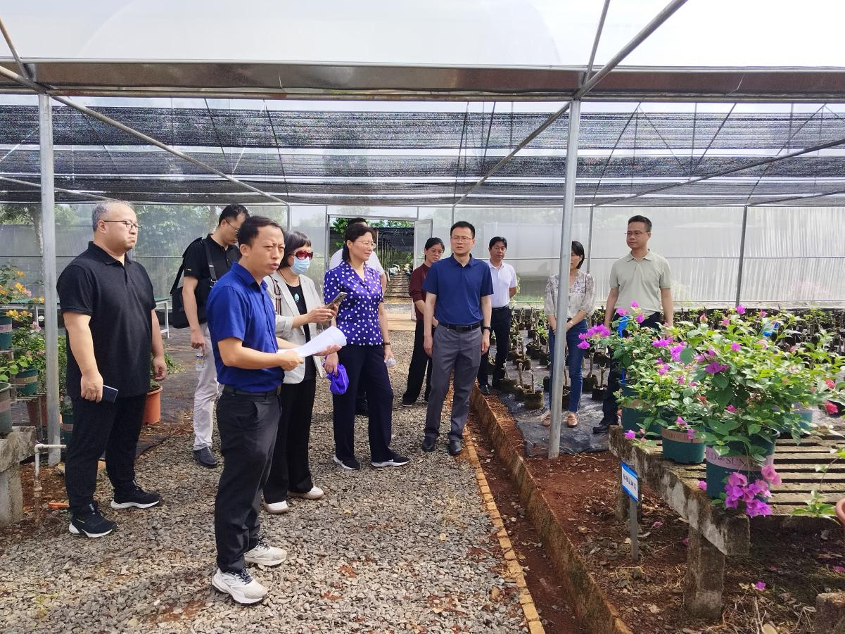 1716347329231820.png 1716347329231820.png