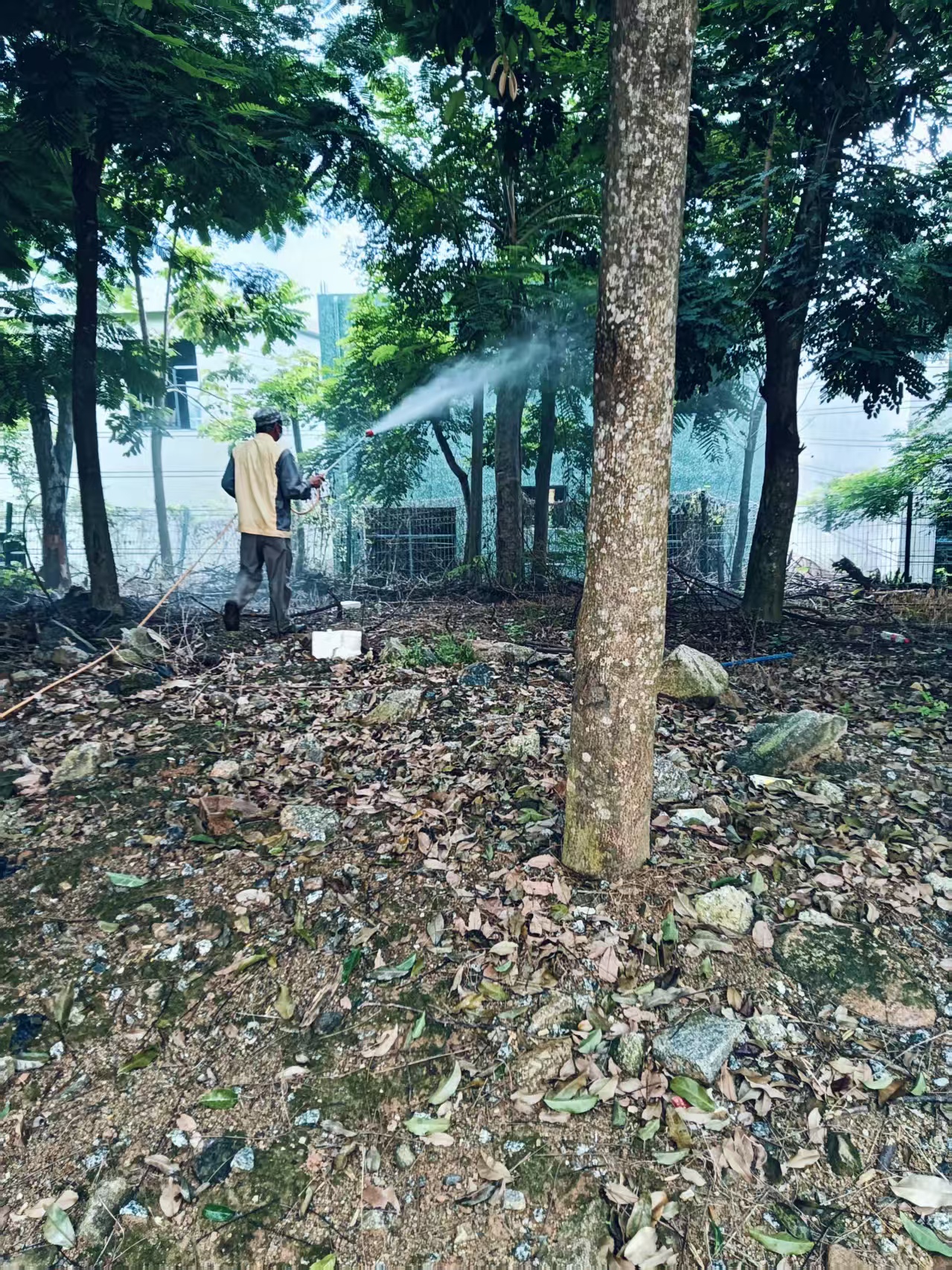 1754276309818843.jpg 1754276309818843.jpg