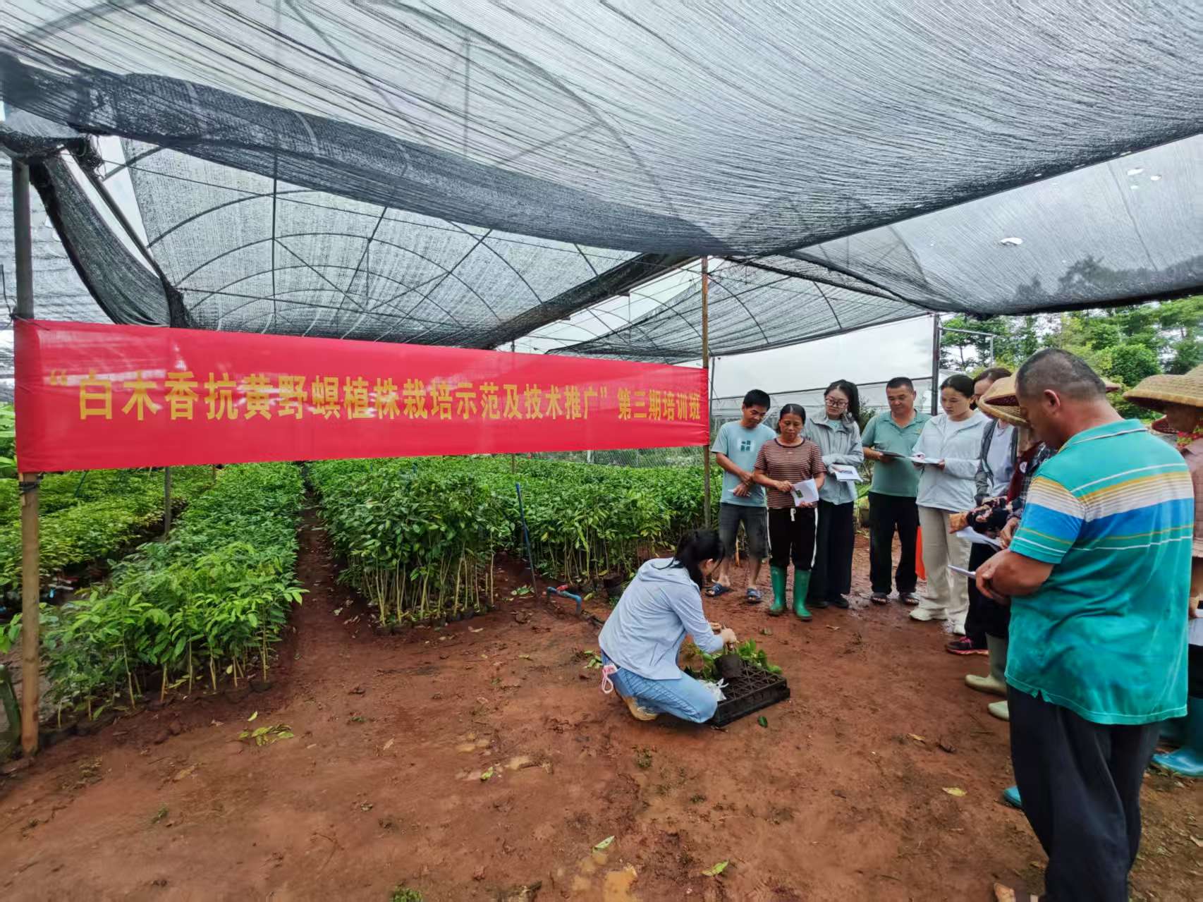 1758516828656690.jpg 1758516828656690.jpg