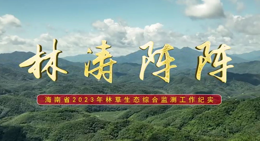 海南省林科院开展林草湿综合调查纪实