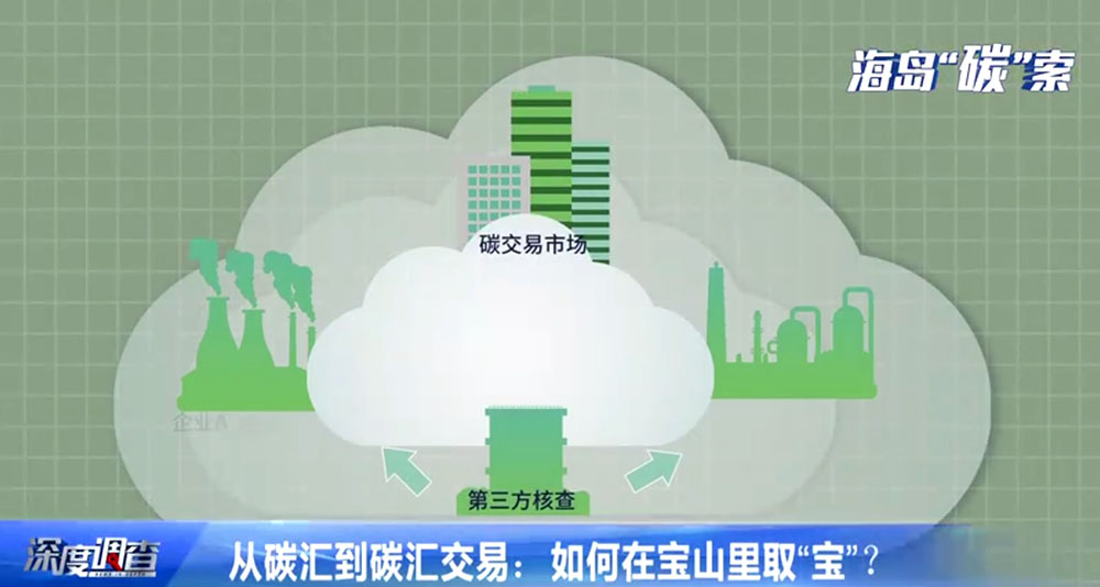 海岛“碳”索(深度调查)