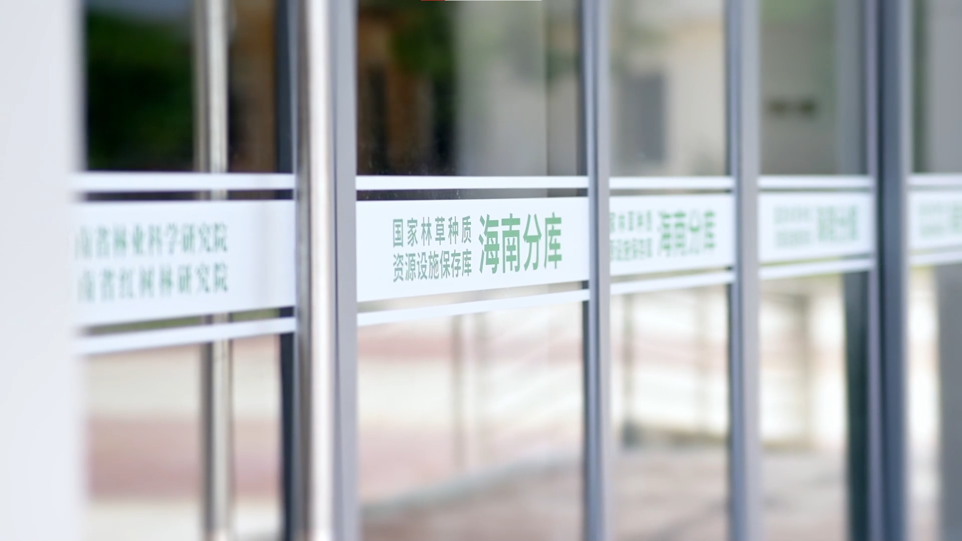 海南分库宣传视频